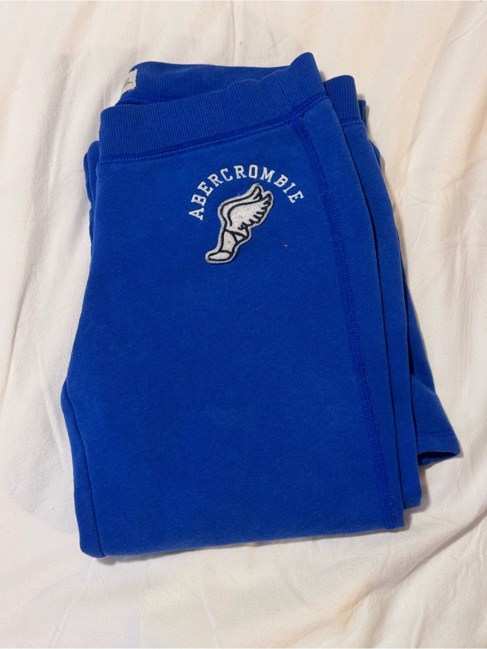Abercrombie & Fitch Cobalt Blue Sweatpants with Wing Logo